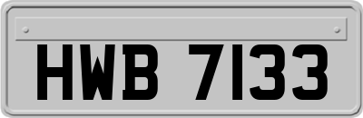 HWB7133