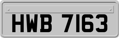 HWB7163