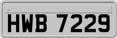 HWB7229