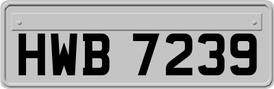 HWB7239