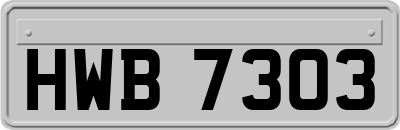 HWB7303