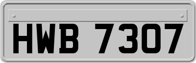 HWB7307