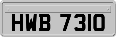HWB7310