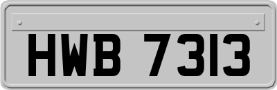 HWB7313