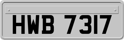 HWB7317
