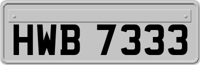 HWB7333