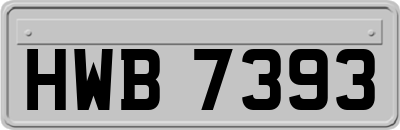 HWB7393