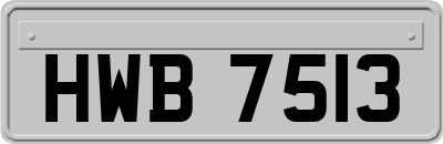 HWB7513