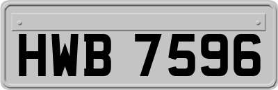 HWB7596