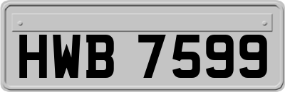 HWB7599