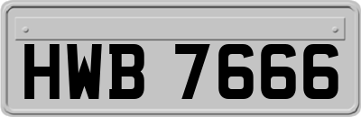 HWB7666