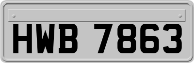 HWB7863