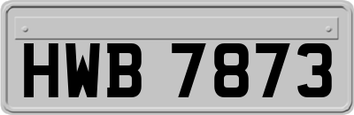 HWB7873