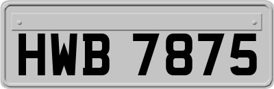 HWB7875