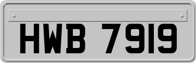 HWB7919