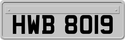 HWB8019