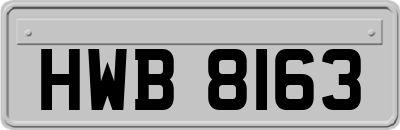 HWB8163