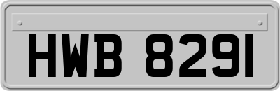 HWB8291