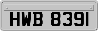 HWB8391