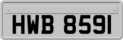 HWB8591