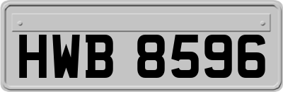 HWB8596