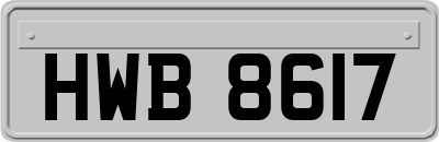 HWB8617