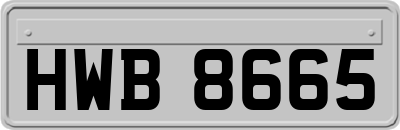 HWB8665