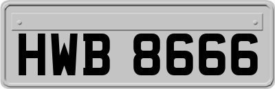 HWB8666