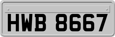 HWB8667