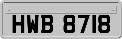 HWB8718