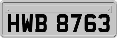 HWB8763