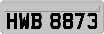 HWB8873