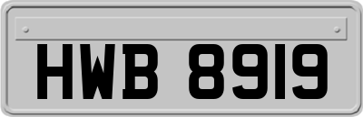 HWB8919