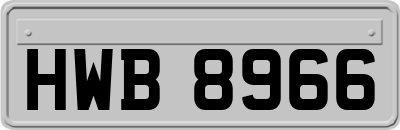 HWB8966