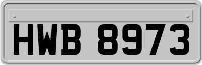 HWB8973