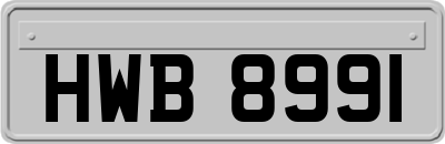 HWB8991