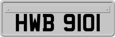 HWB9101