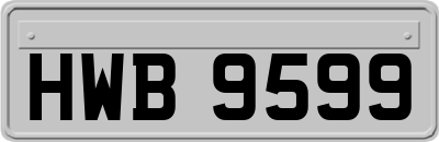 HWB9599