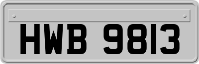 HWB9813