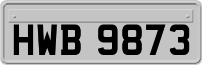 HWB9873