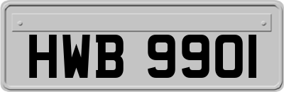 HWB9901