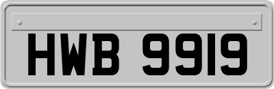 HWB9919