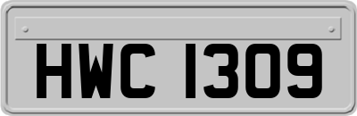 HWC1309