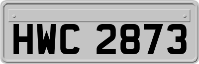 HWC2873