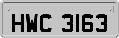 HWC3163