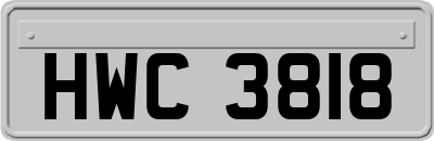 HWC3818