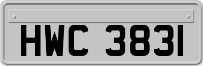 HWC3831