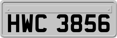 HWC3856