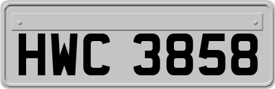 HWC3858