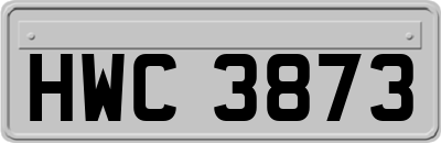 HWC3873